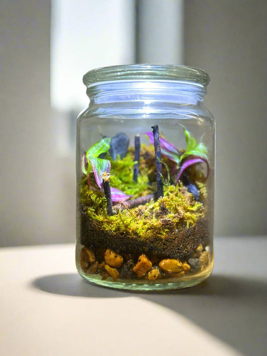 MyTinyEcosystem: Terra