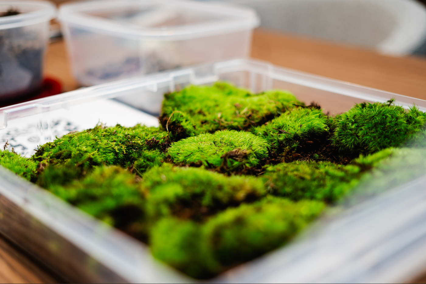 August 21, 2025 @ Bay 13 Brewery 7PM