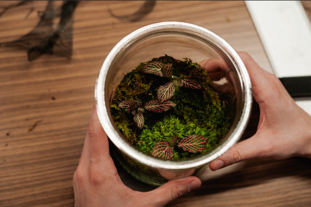 August 21, 2025 @ Bay 13 Brewery 7PM