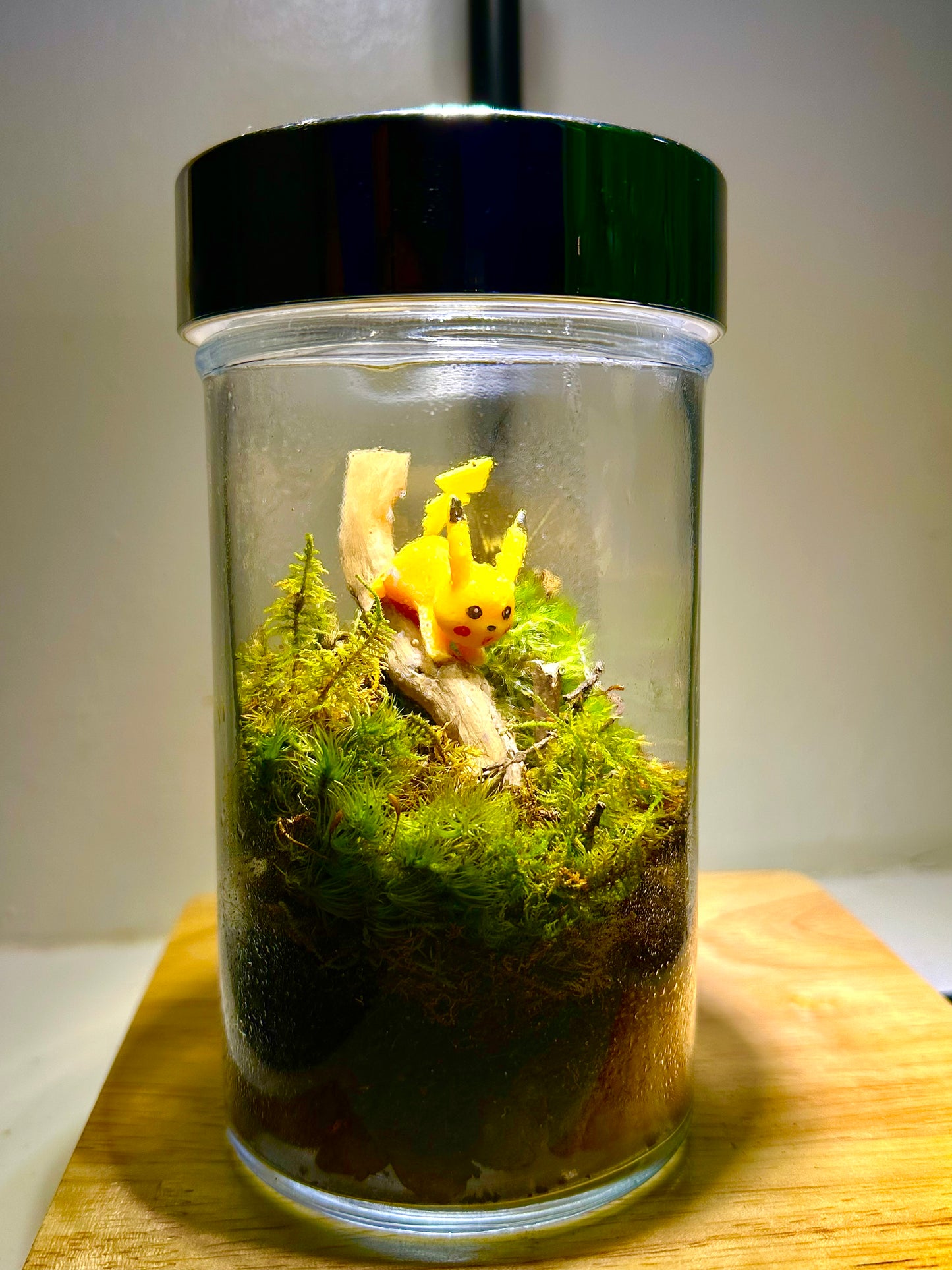 Pikachu Terrarium 1of1