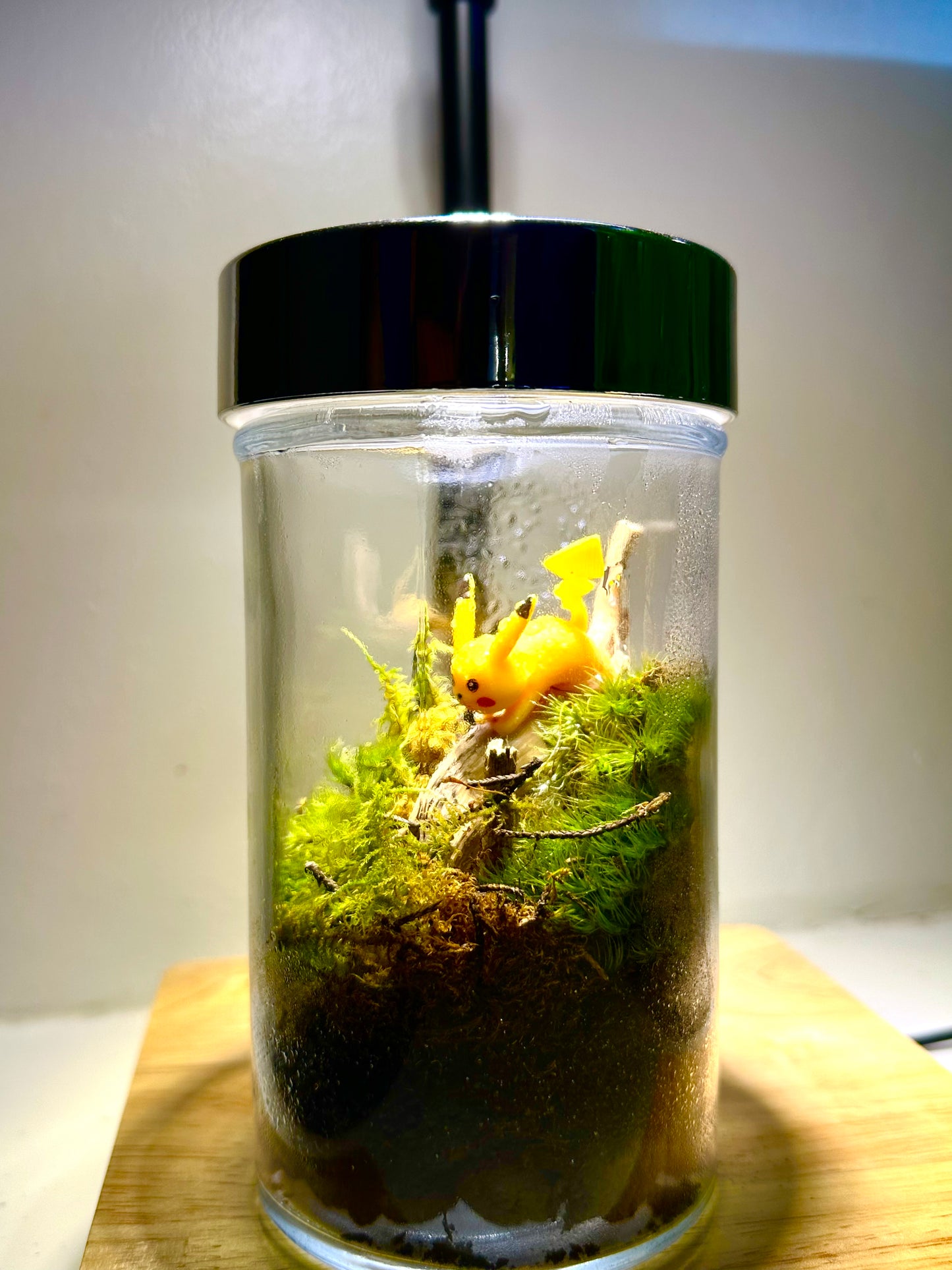 Pikachu Terrarium 1of1