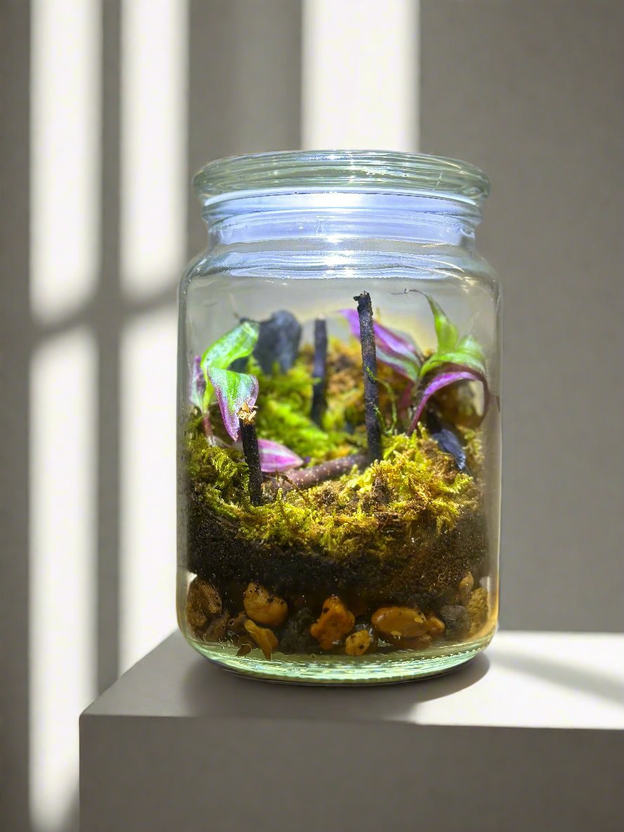 MyTinyEcosystem: Terra