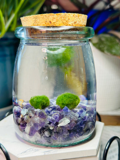 LoveBalls: Marimo Moss